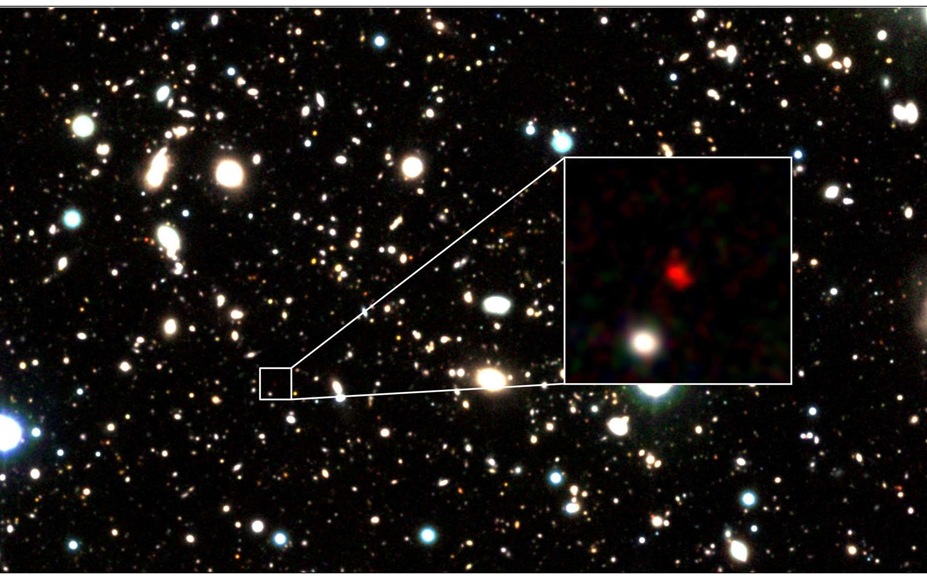 Un zoom montrant HD1 en fausse couleur. © Harikane et al., Nasa, EST and P. Oesch/Yale.