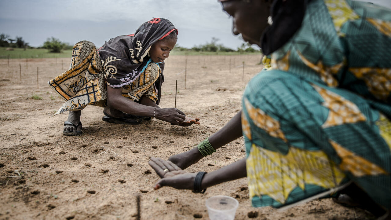 Abidjan, world capital of the fight against desertification