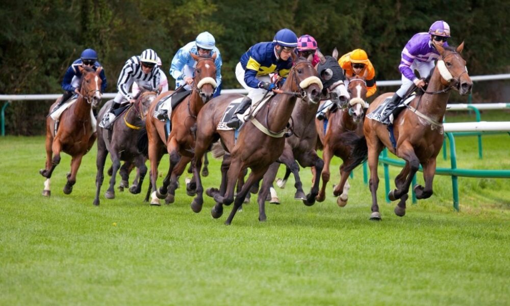 Fifth.  The Prix de la Ville de Paris at ParisLongchamp this Sunday, May 29, 2022. – Angers Info