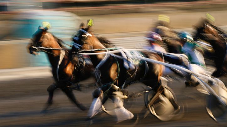 Fifth.  The Sirrah Prize in Vincennes this Friday, May 27, 2022. – Angers Info