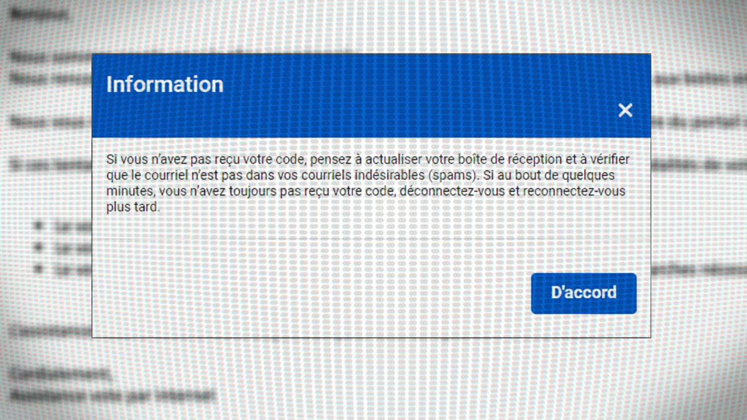 French people living abroad deprived of internet voting due to a technical problem?  “I will be one of the abstainers despite myself”