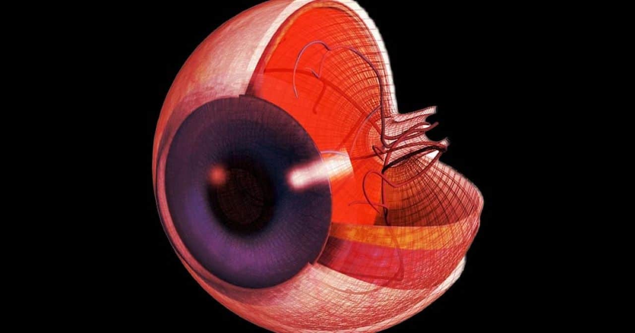 oeil reanimer cellules nerveuses mort reversible couv