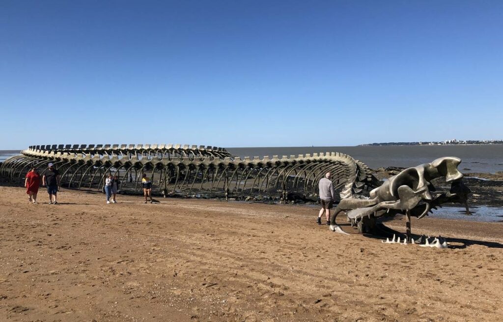 Star of Google Street View, the Ocean Serpent "is even more beautiful in real life"