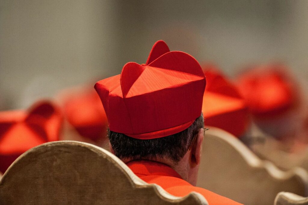 Who are the 21 new cardinals appointed by Pope Francis?