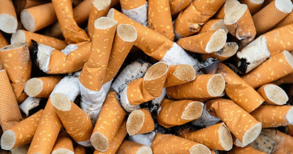 The tobacco industry and its colossal damage to the environment