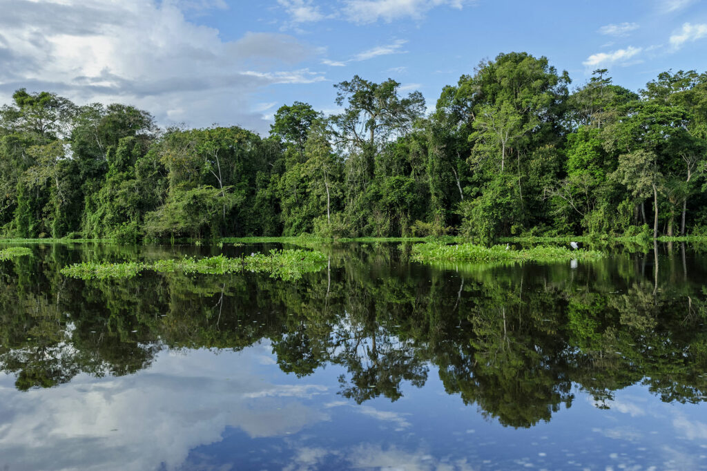 Un journaliste britannique et un expert brésilien disparaissent en Amazonie