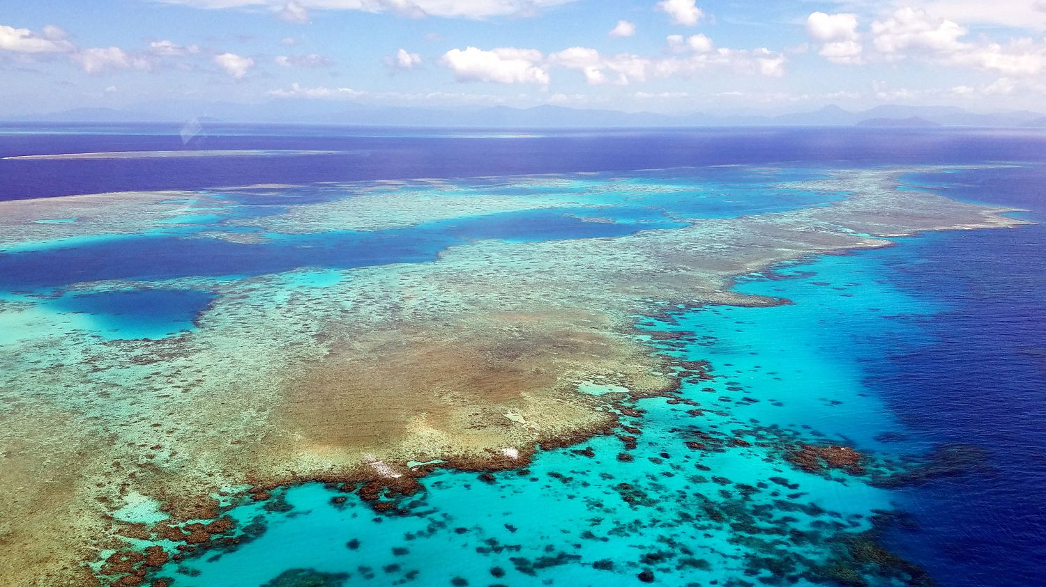 on vous raconte l'histoire de la Grande Barrière de corail, à l'agonie à cause du réchauffement climatique