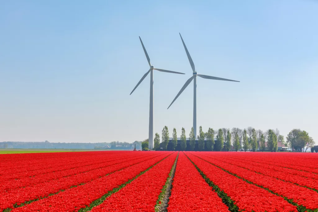 the National Renewable Energy Laboratory