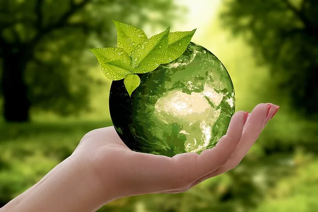 Make a difference by choosing an eco-friendly lifestyle